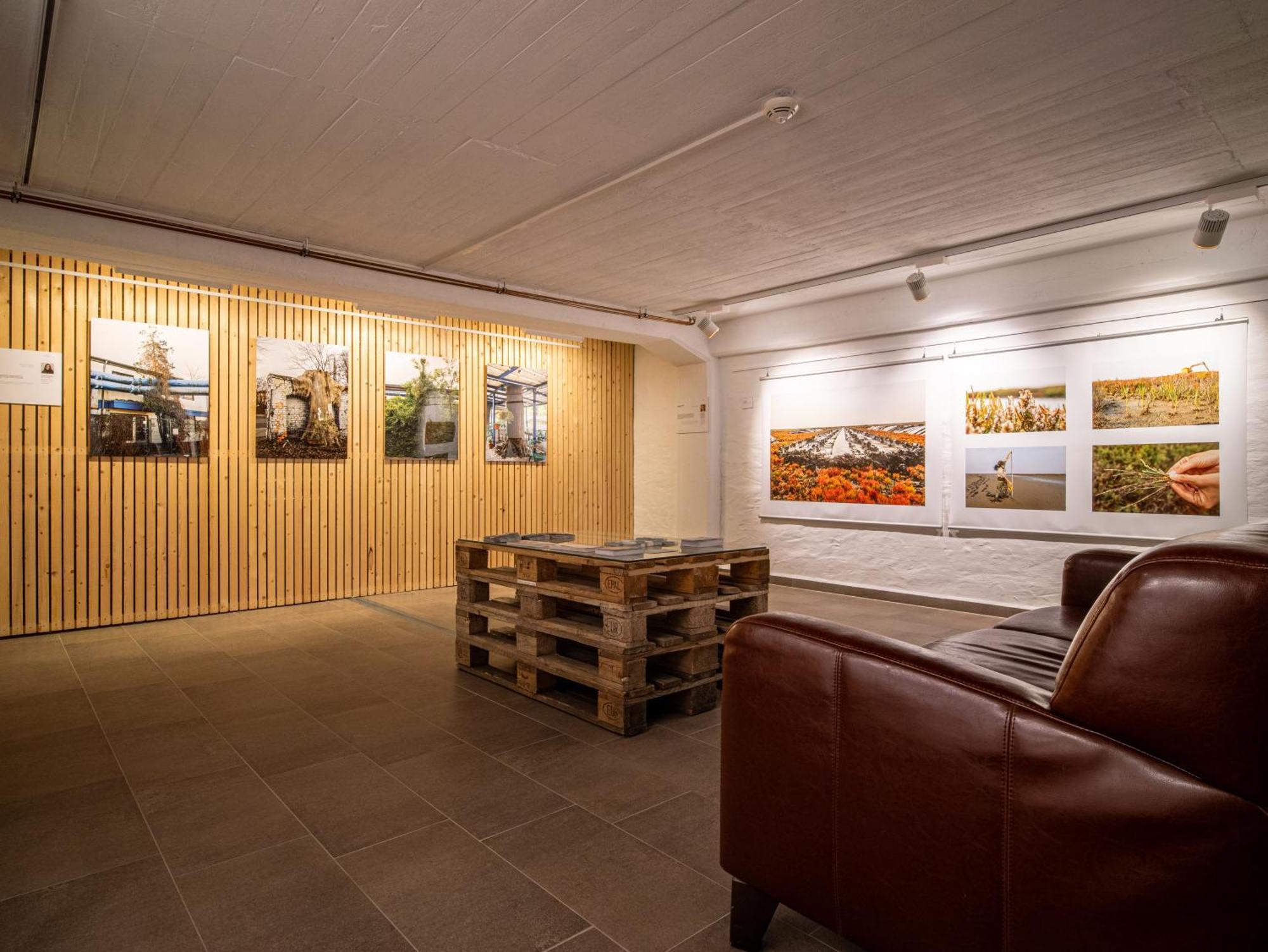 Hotel Stone Zingst Eksteriør billede